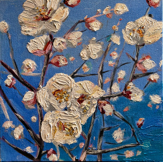 Apricot Blossoms - 8 x 8 inches, Oil on canvas