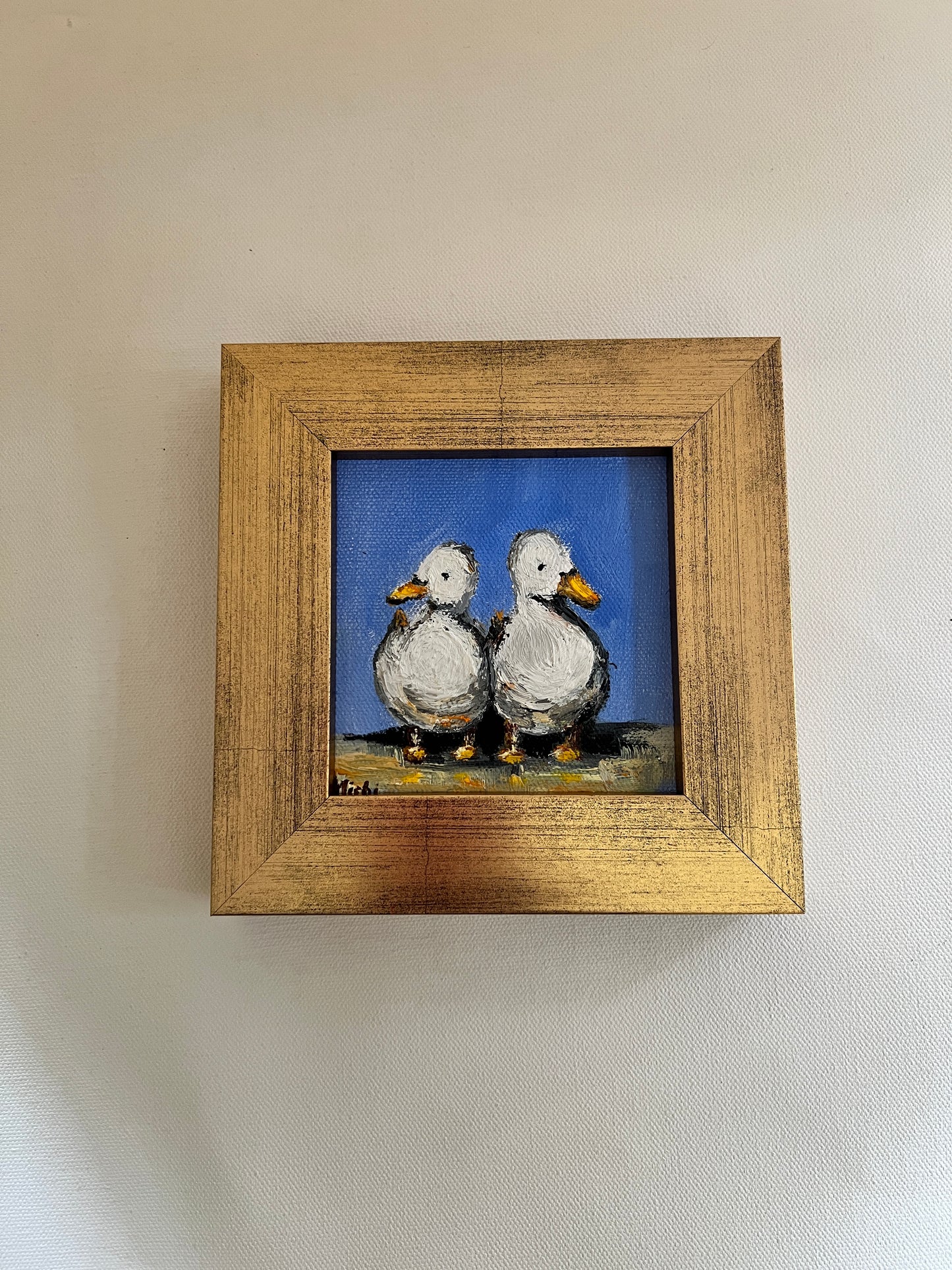 Ducks