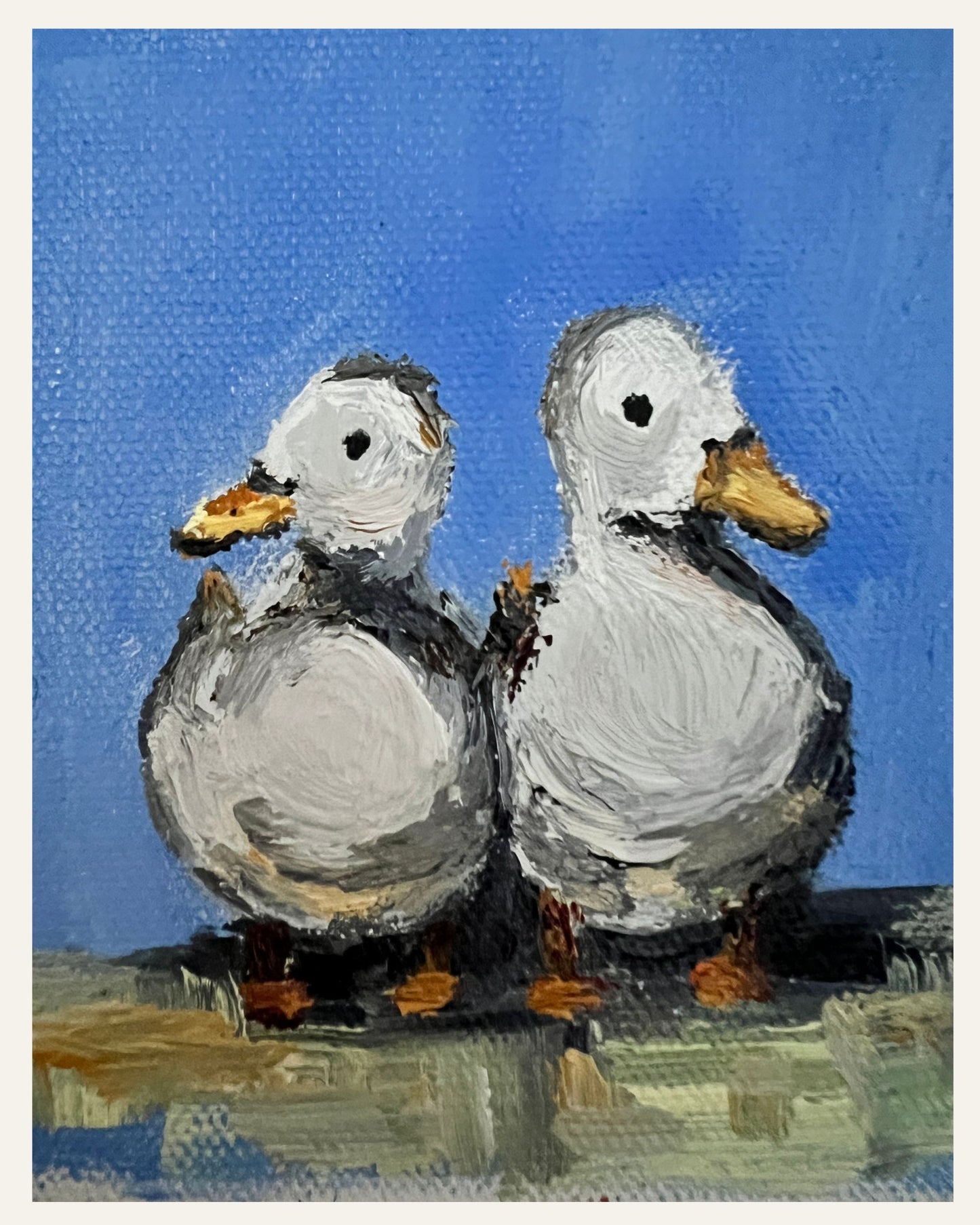 Ducks