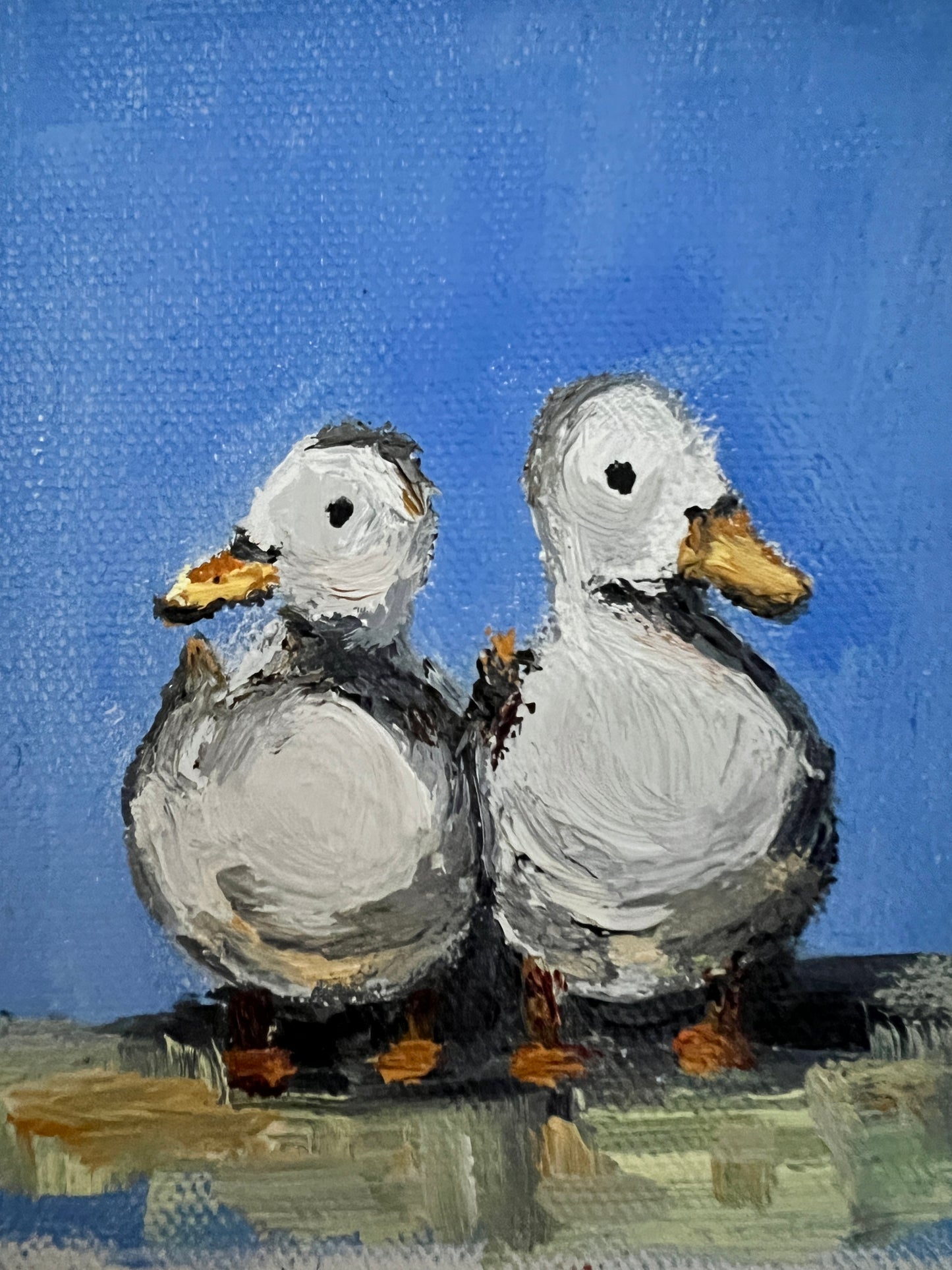 Ducks